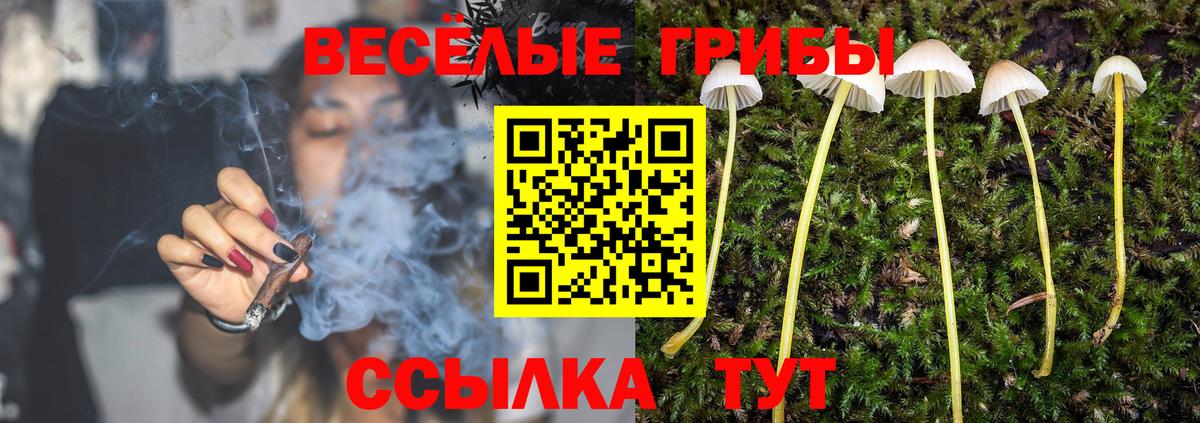 Псилоцибиновые грибы Magic Shrooms  Вход с VPN  Коломна 