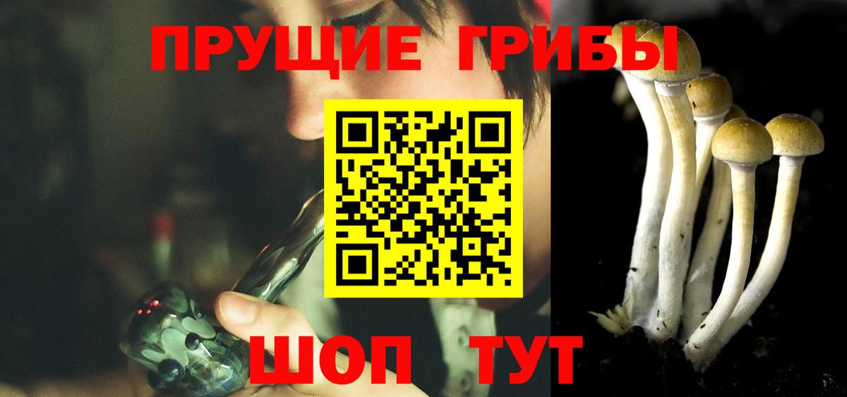 Галлюциногенные грибы Magic Shrooms Коломна